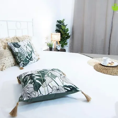 Large Complete Apartment, In The Center With Balcony Santiago de Compostela